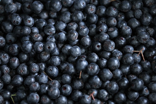 Fra busk til bord: Sådan dyrker og anvender du aronia